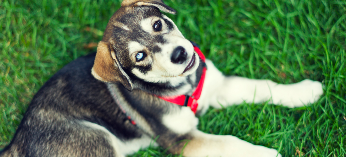 免费DDOS攻击测试工具